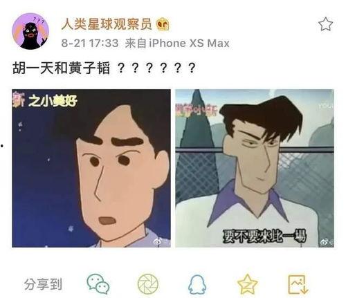 娱乐吃瓜酱努力生活,在追逐娱乐热点中努力生活的点滴