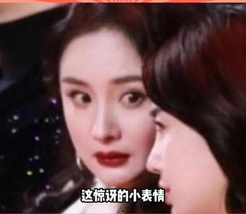 娱乐圈 有没有瓜吃啊